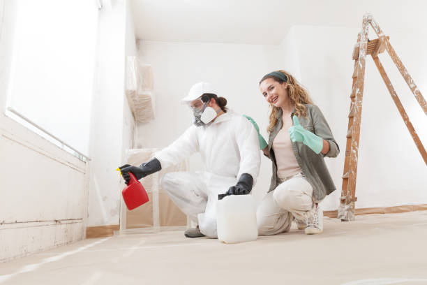 Best Airborne Mold Testing  in Tiffin, OH